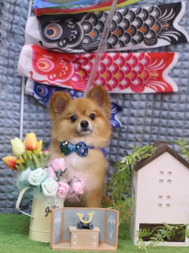 20230517モンブランくん